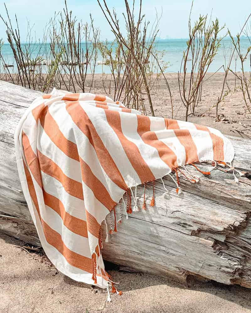 Orange striped towel on a log by the beach