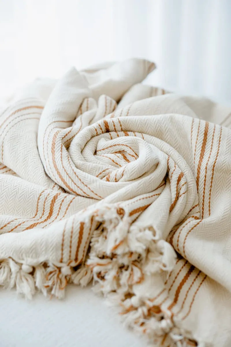 Rolled striped blanket with brown stripes on a light background