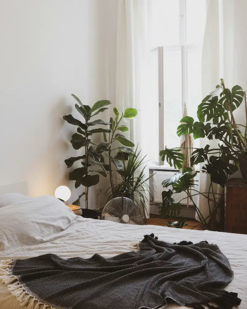 Bedroom with plants and a black blanket on a bed